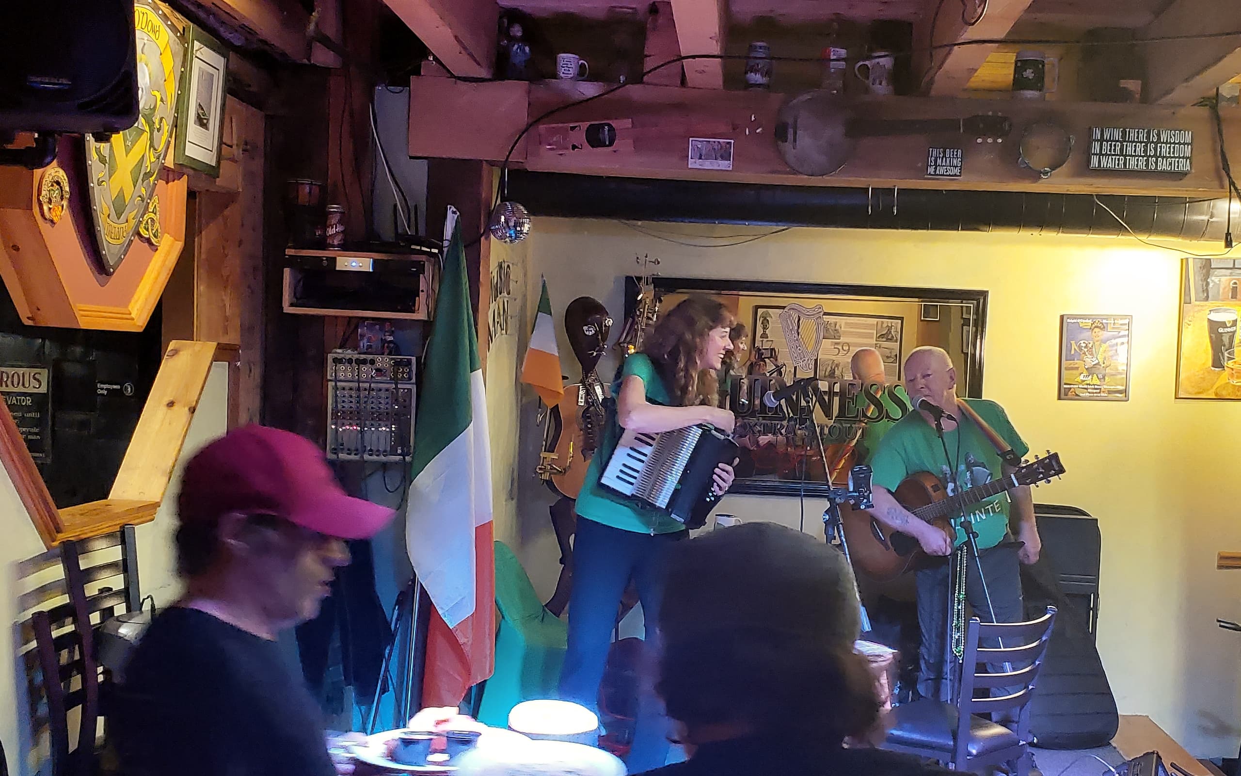 A woman play the harpsichord, and a man plays guitar. Both wear green shirts, surrounded by an audience and Irish flags.